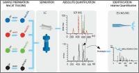 MeCAT Protein quantification technology